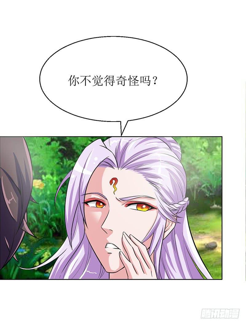 传说中的白岩草出现啦！