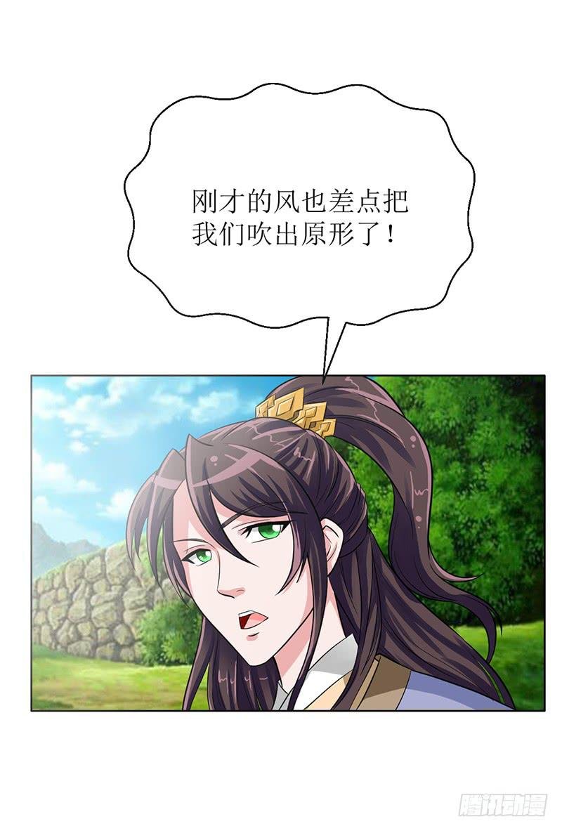 传说中的白岩草出现啦！
