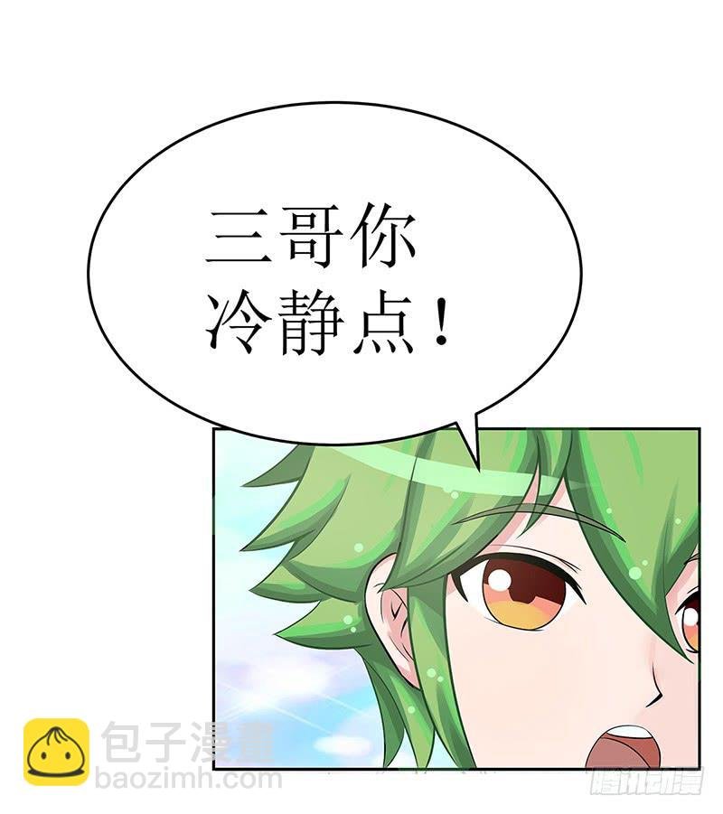 传说中的白岩草出现啦！