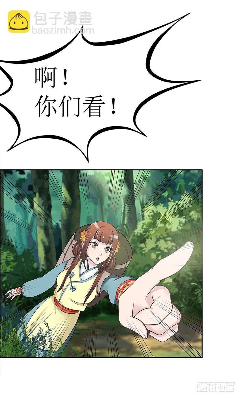 传说中的白岩草出现啦！