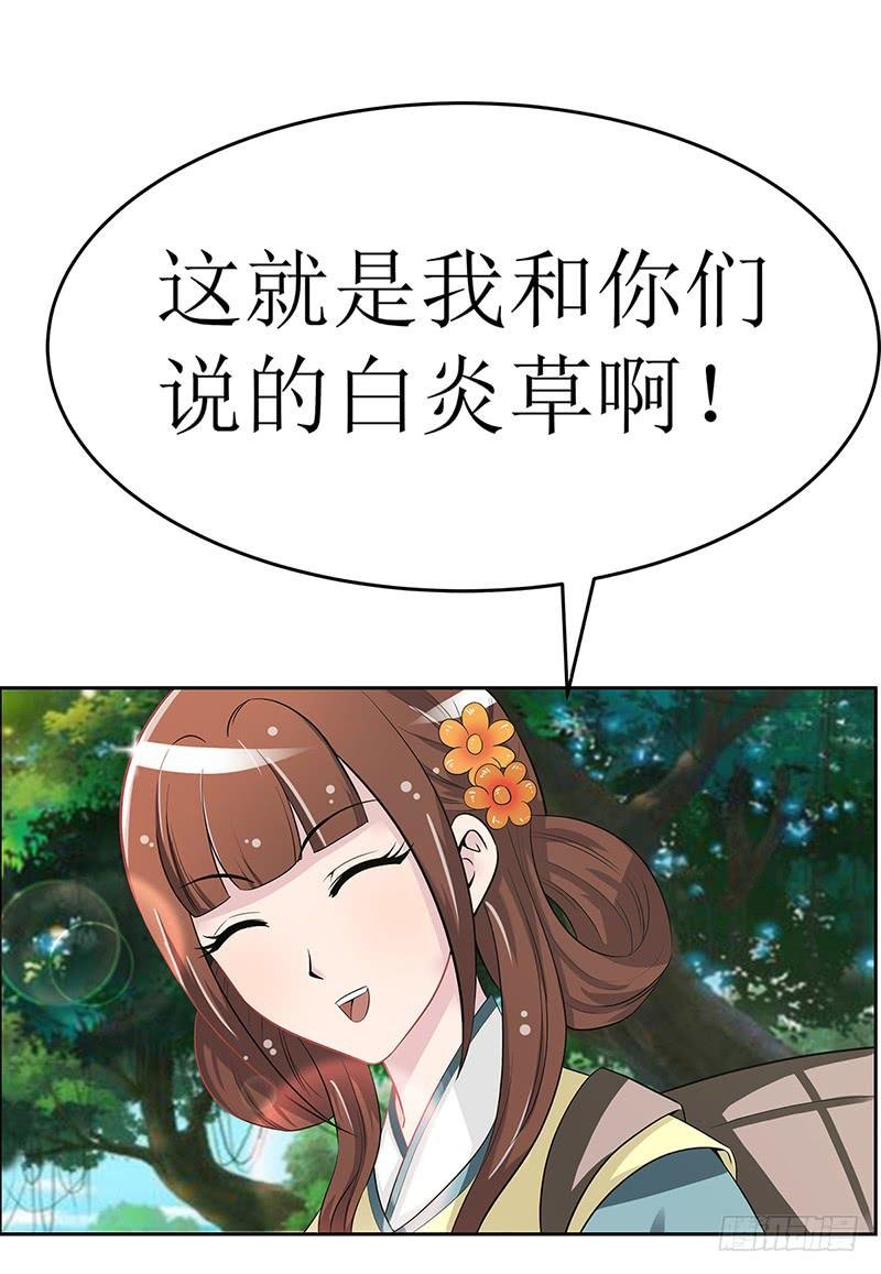 传说中的白岩草出现啦！