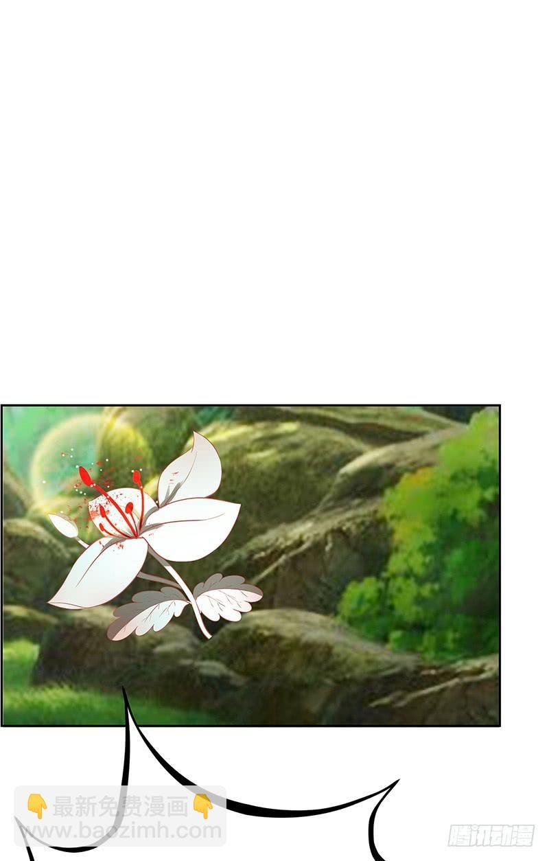 传说中的白岩草出现啦！