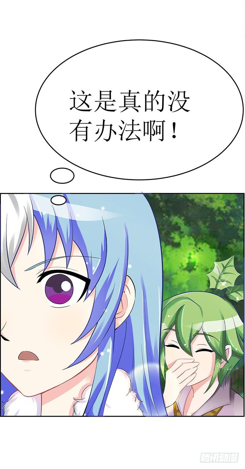 传说中的白岩草出现啦！