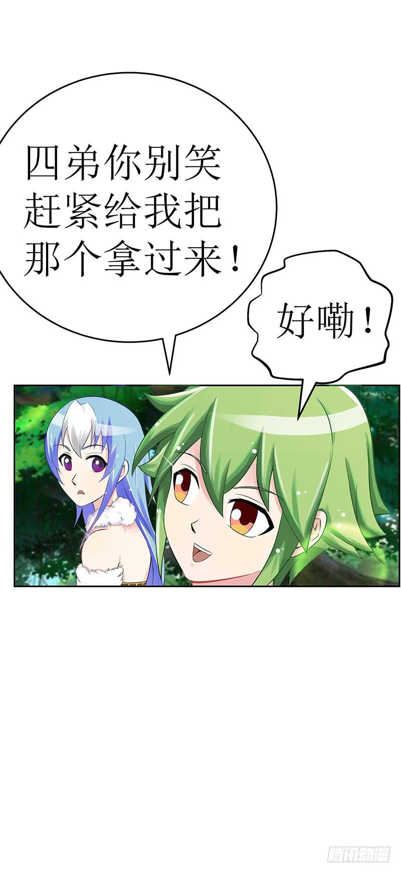 传说中的白岩草出现啦！