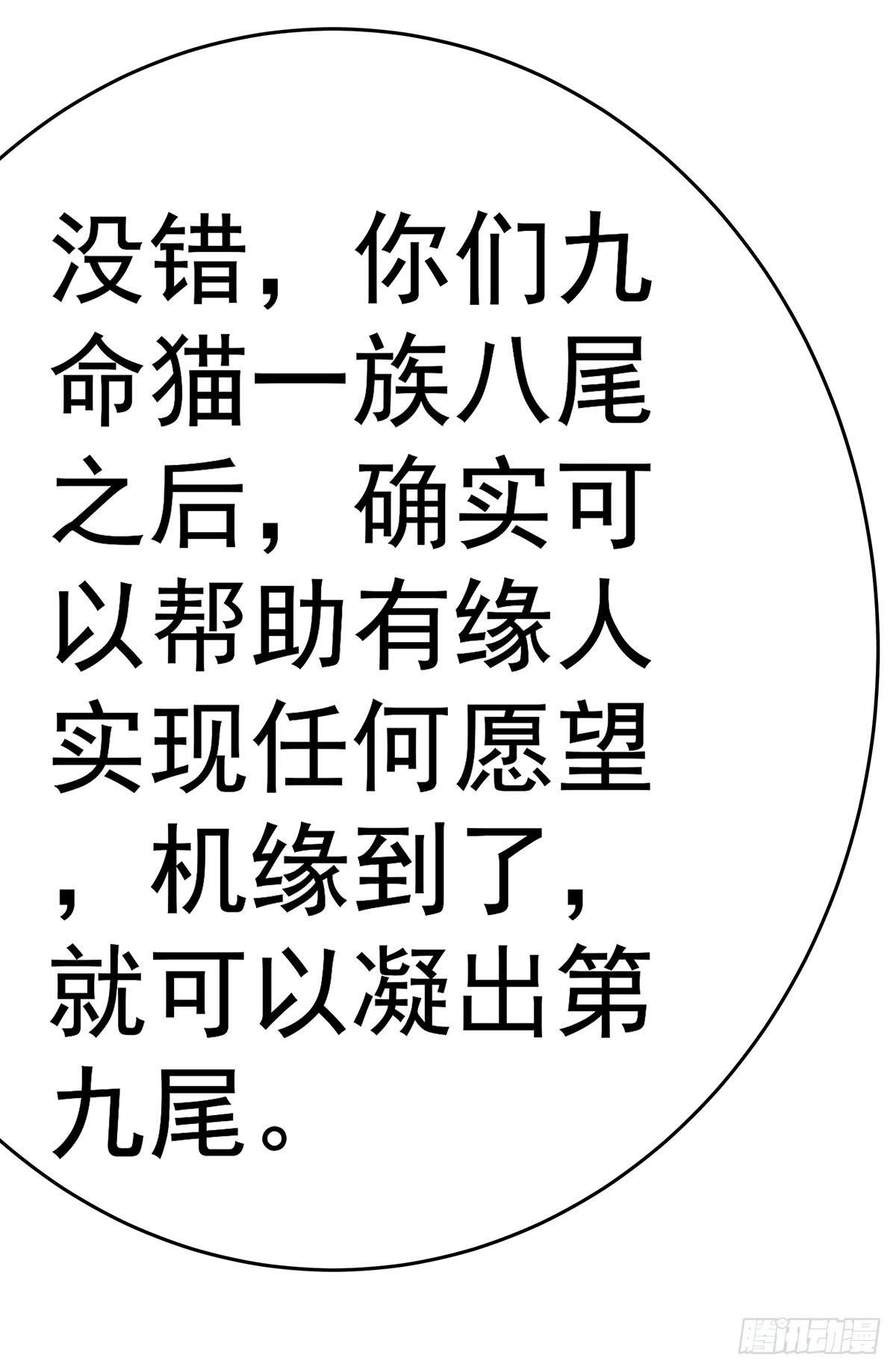 猫妖的恶我要觉醒了