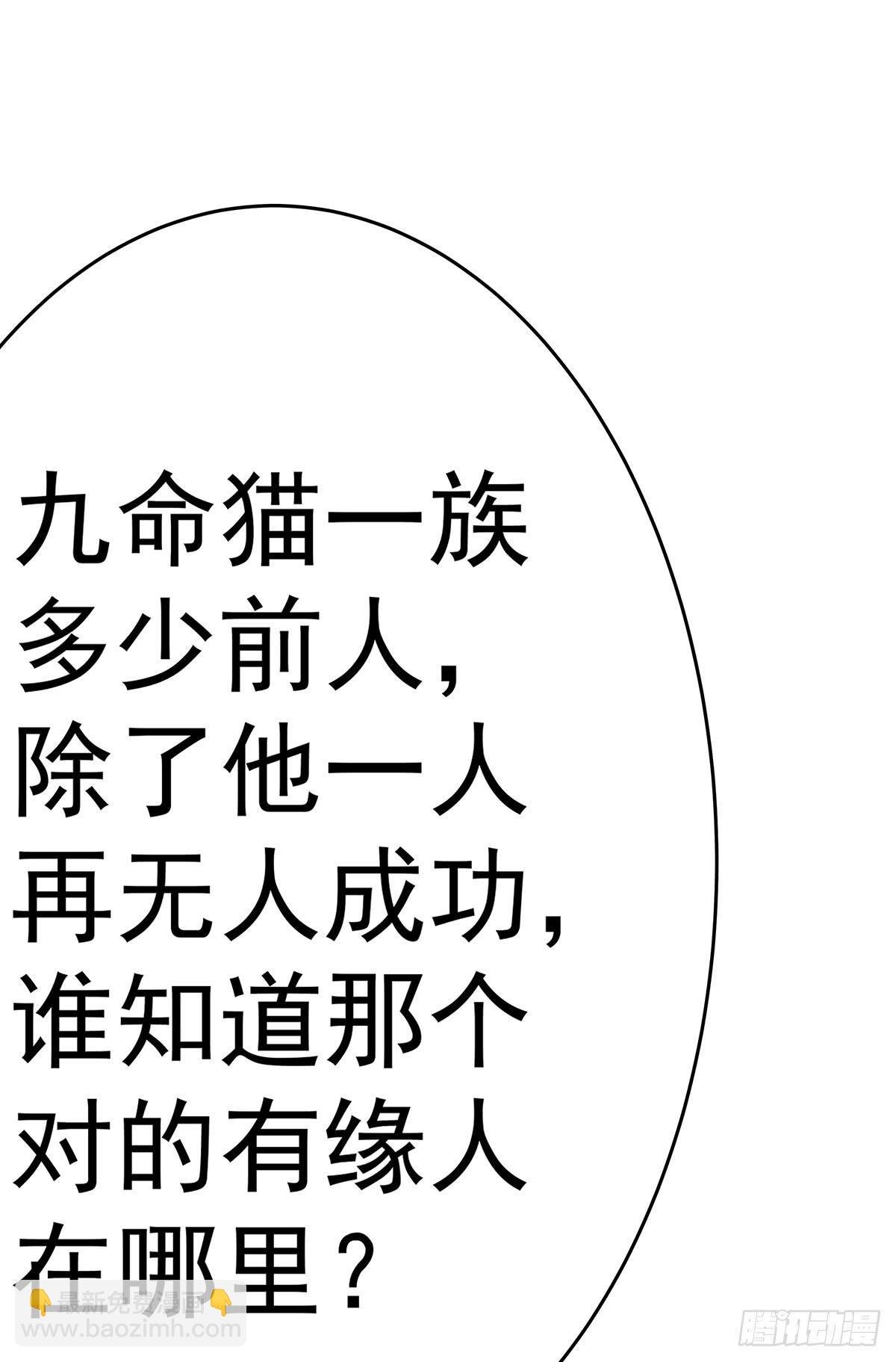 猫妖的恶我要觉醒了
