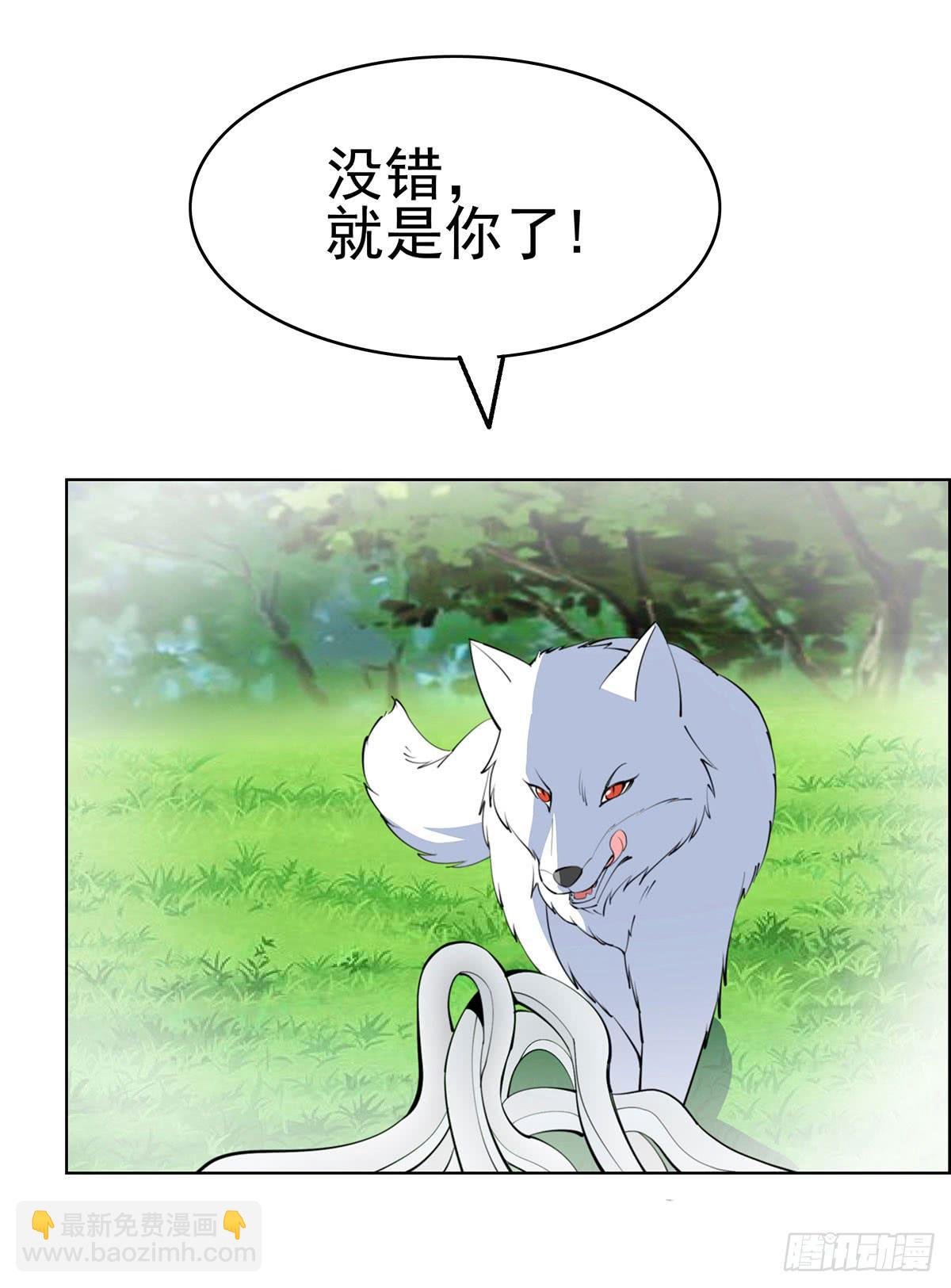 这只臭狐狸迟早会造报应！