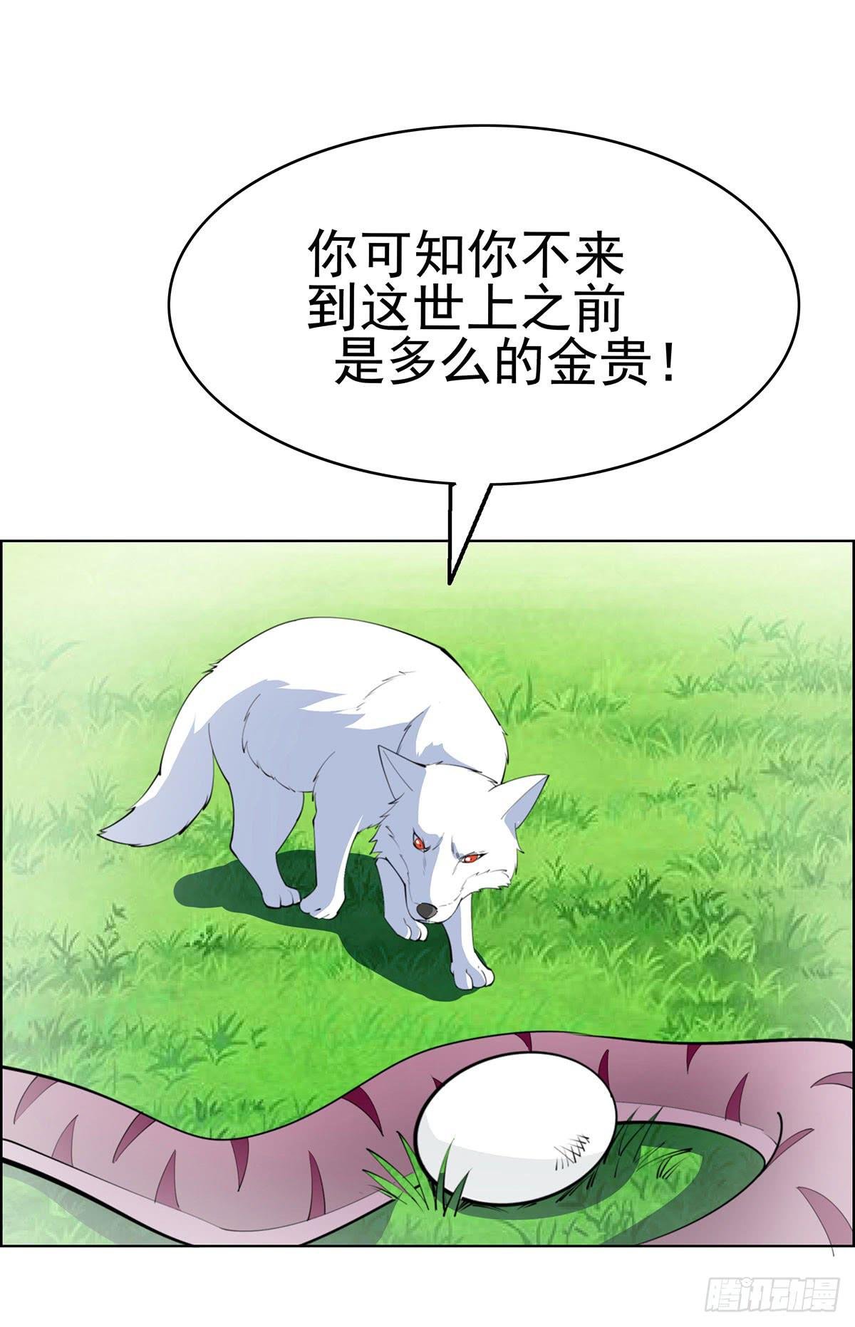 这只臭狐狸迟早会造报应！