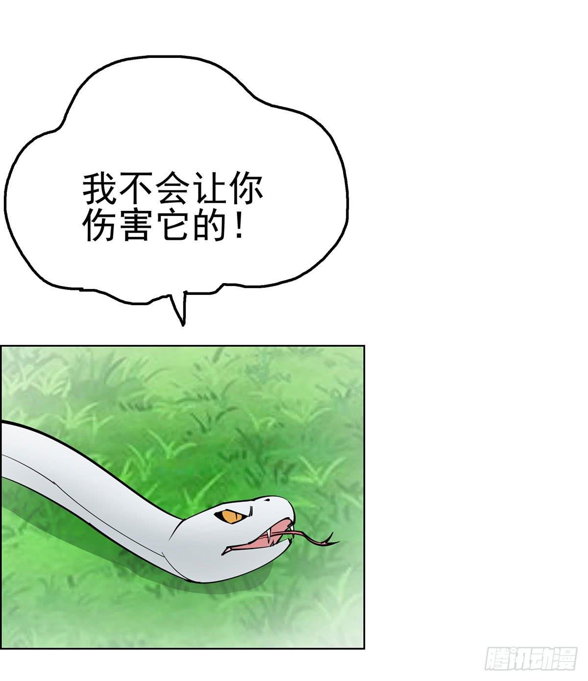 这只臭狐狸迟早会造报应！