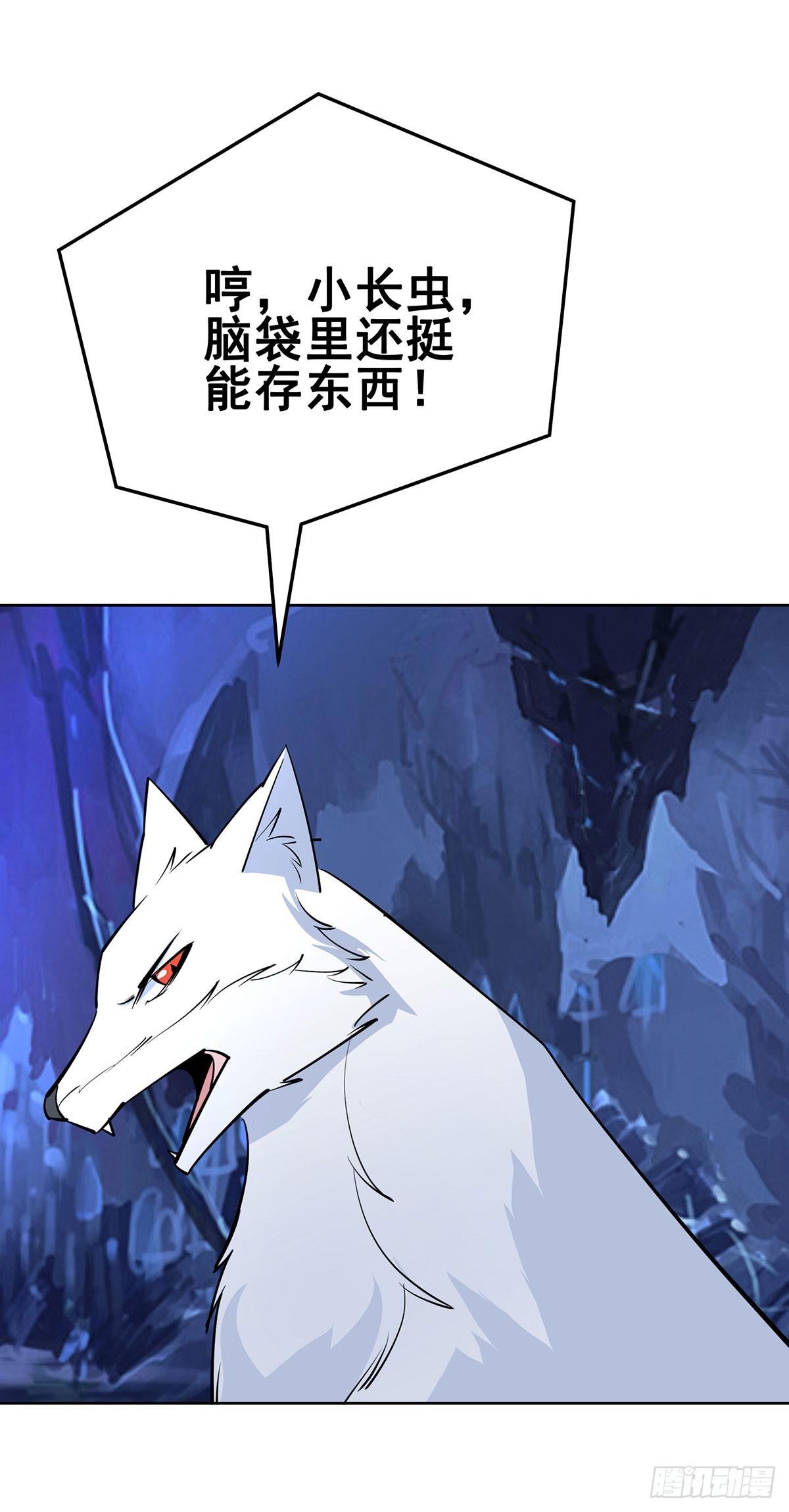 这只臭狐狸迟早会造报应！