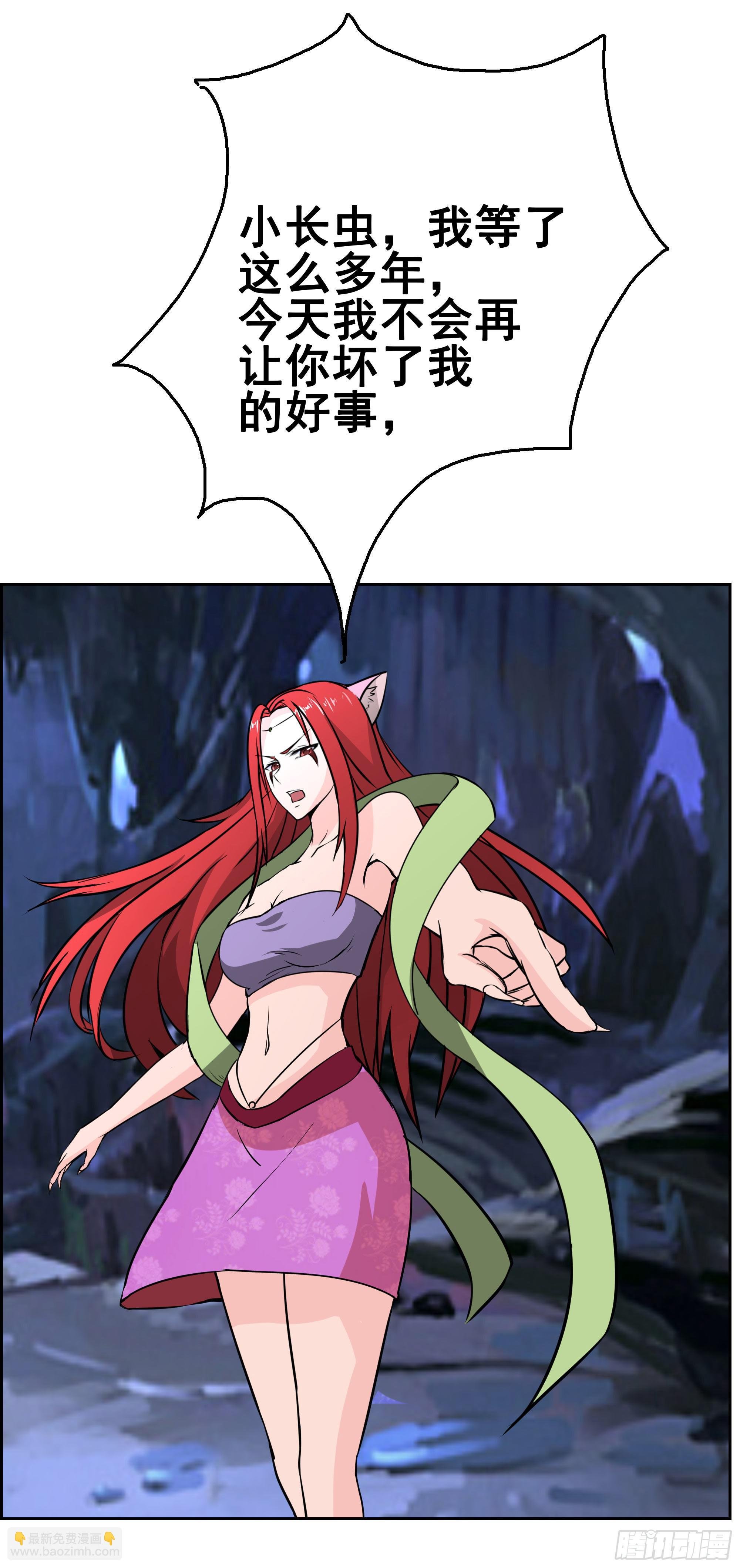 狐狸女王重伤岚帝