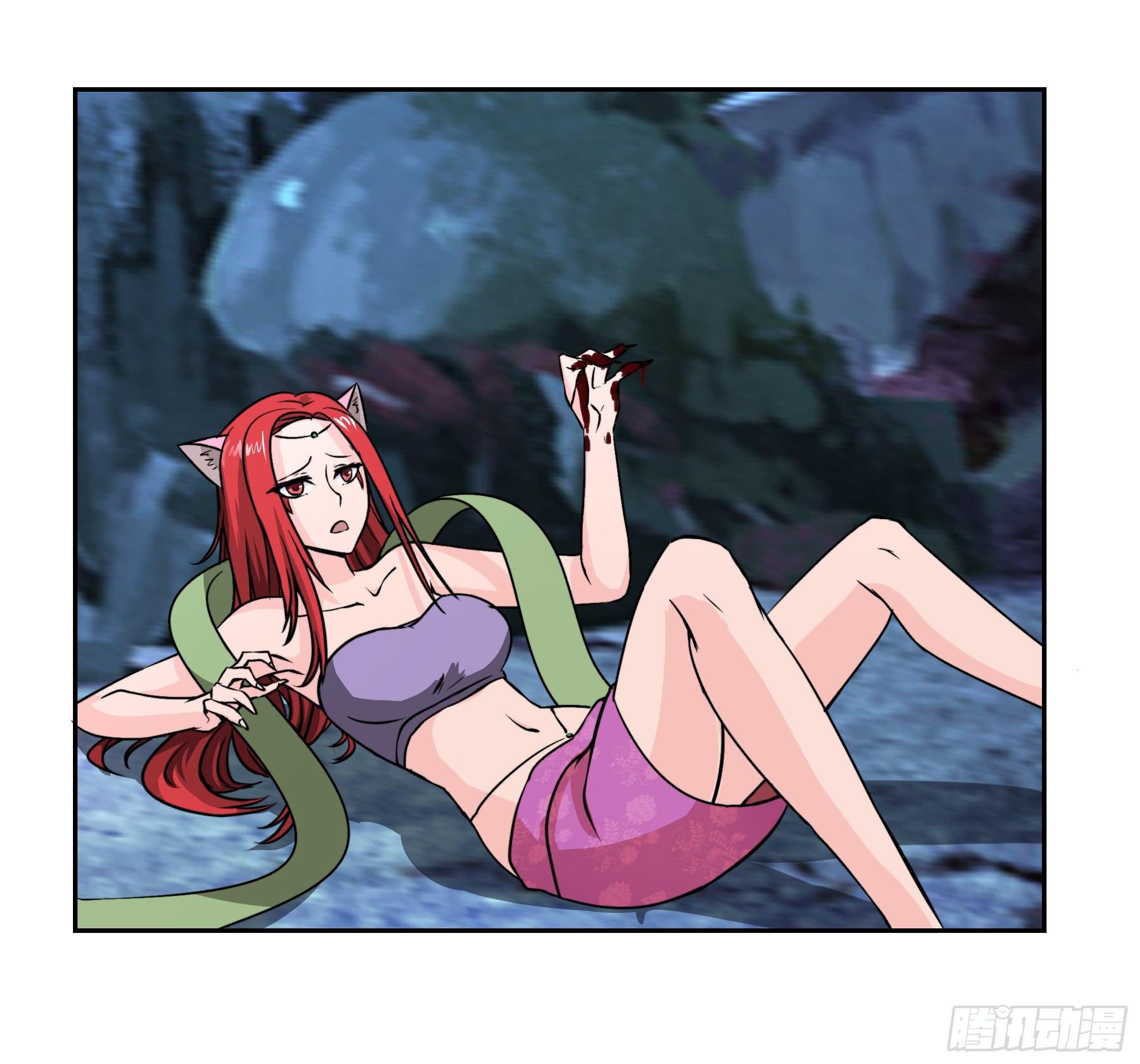 狐狸女王重伤岚帝