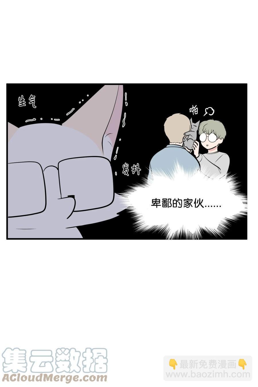 100 把多菲交给你