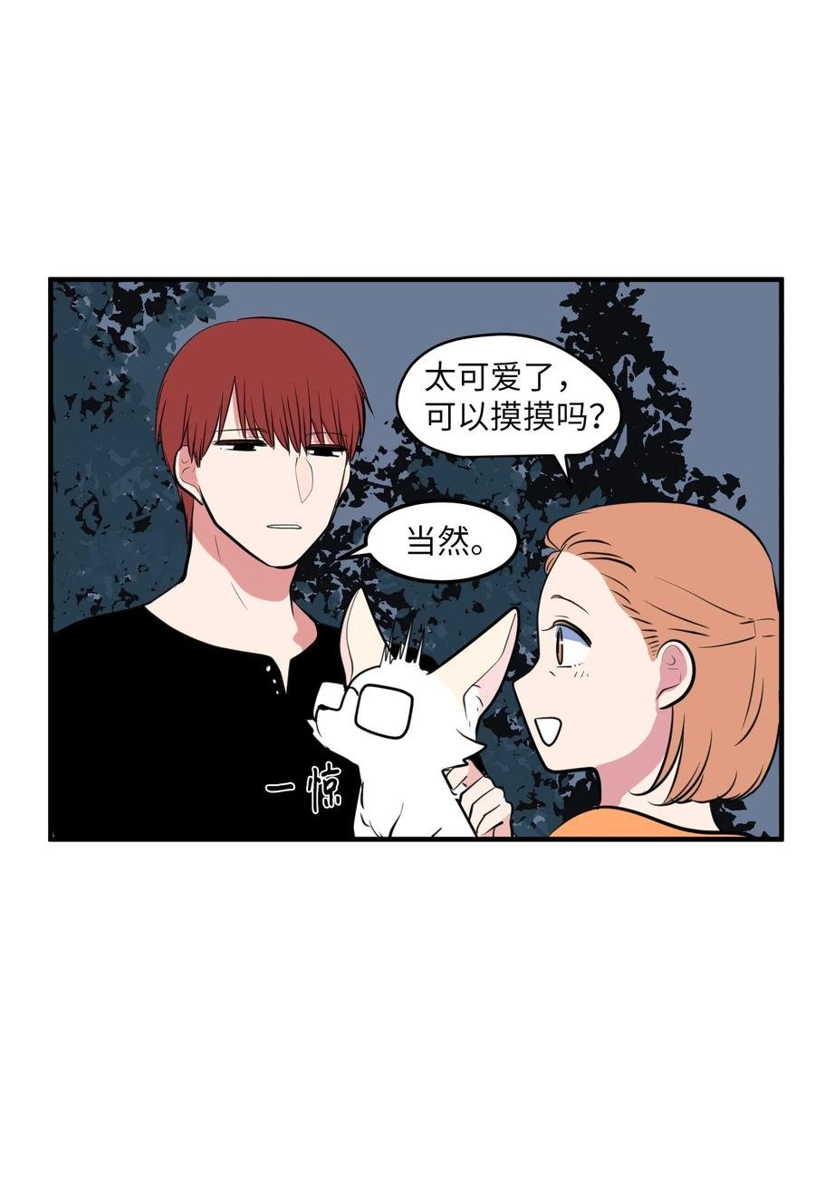 100 把多菲交给你