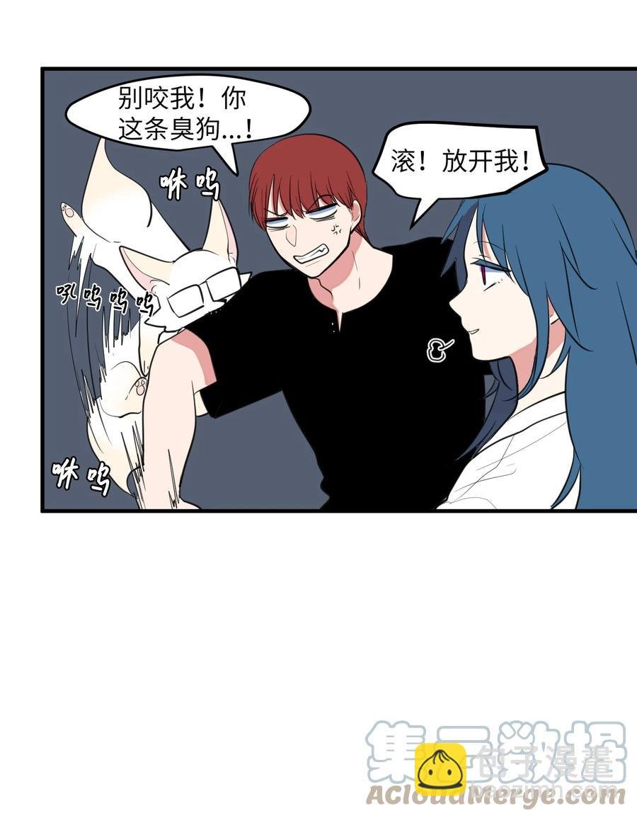 101 弄虚作假