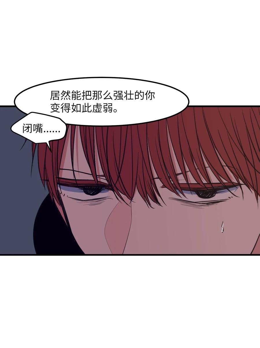 103 路奇菲的记忆