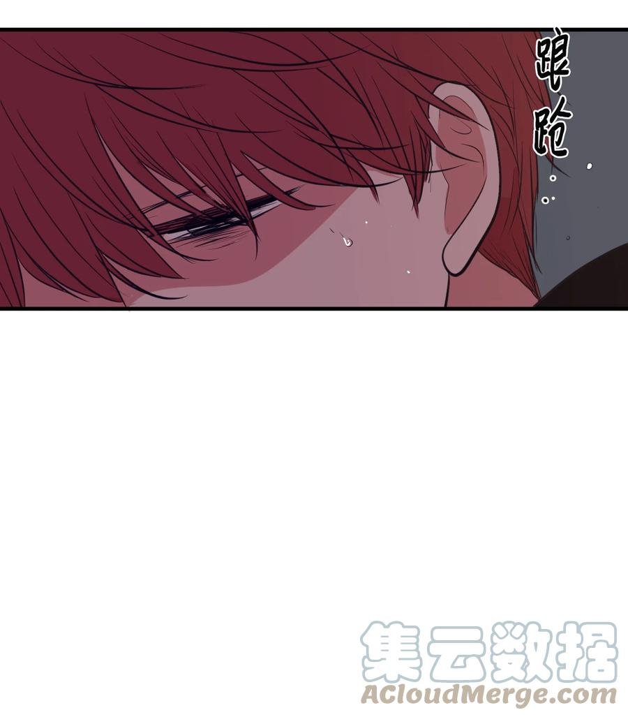 103 路奇菲的记忆