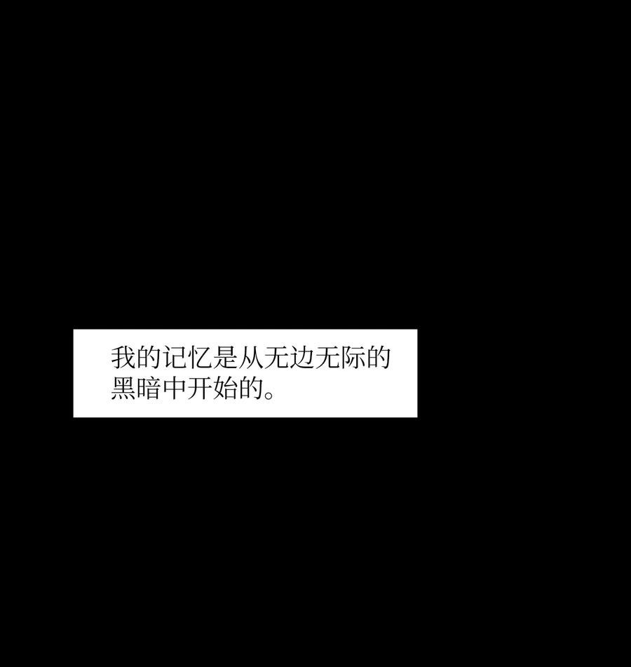 103 路奇菲的记忆