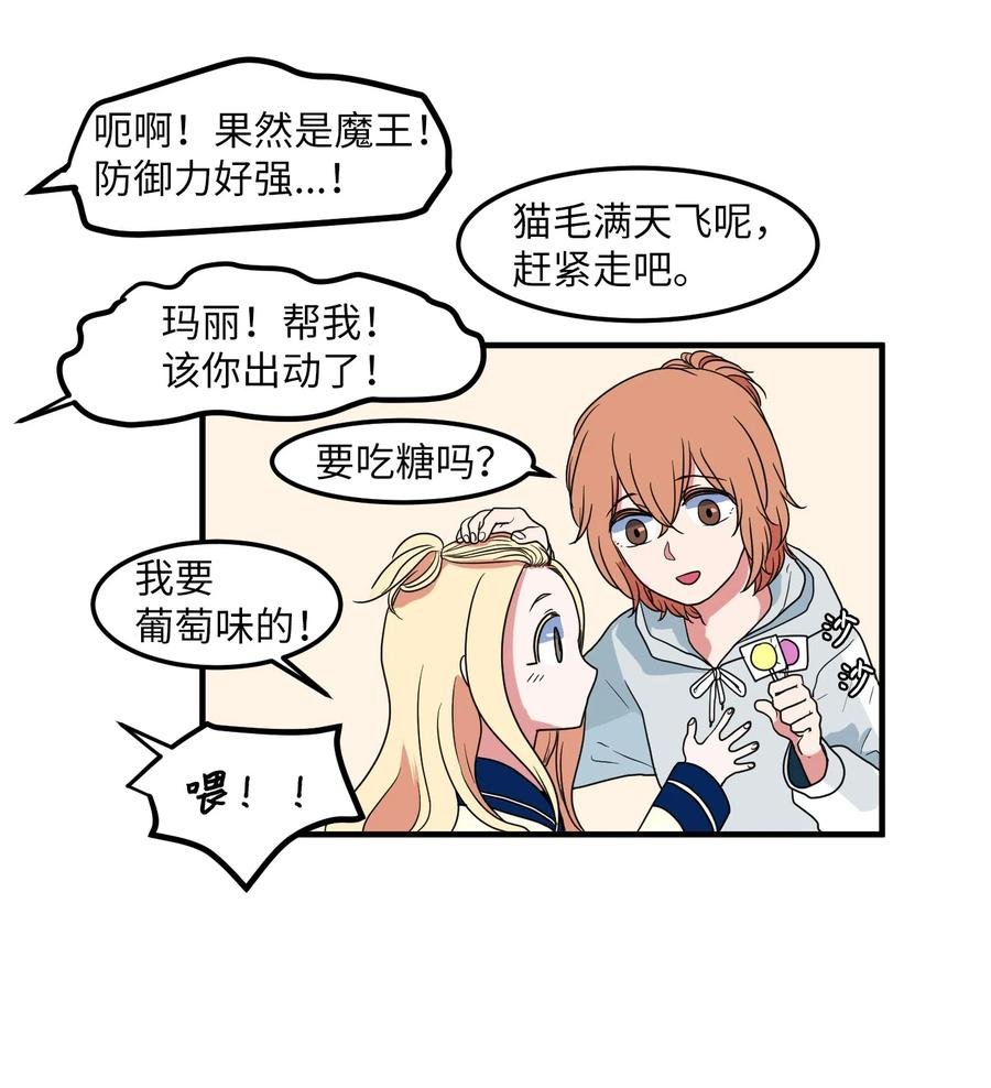 026 戴眼镜的狐狸