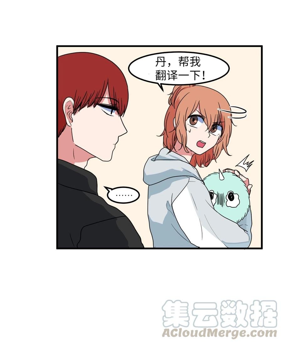 026 戴眼镜的狐狸