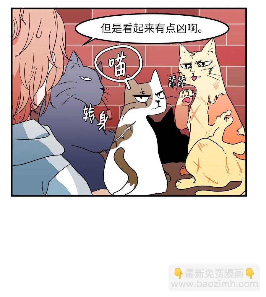 026 戴眼镜的狐狸