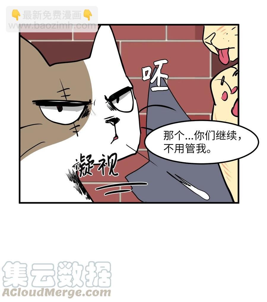 026 戴眼镜的狐狸