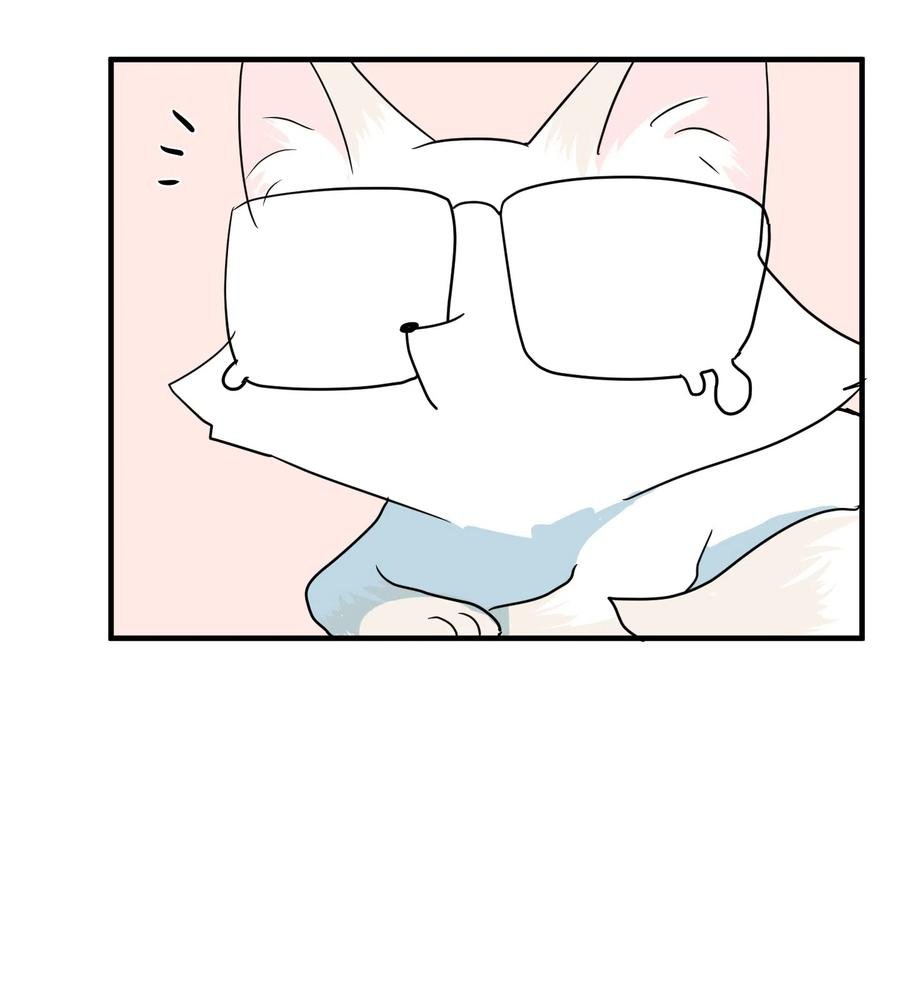 026 戴眼镜的狐狸