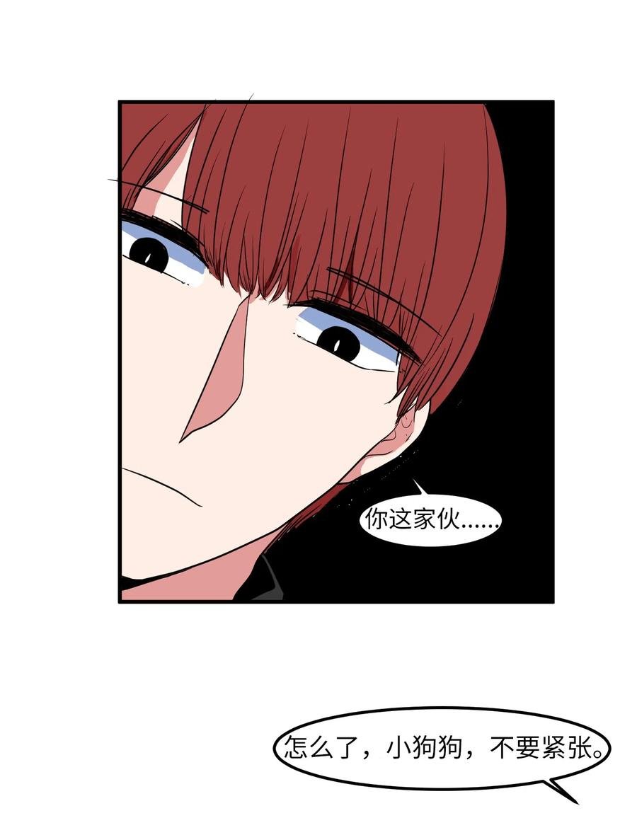 026 戴眼镜的狐狸