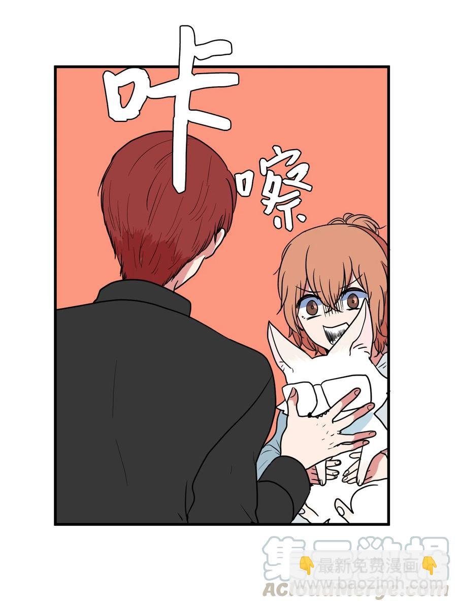 026 戴眼镜的狐狸