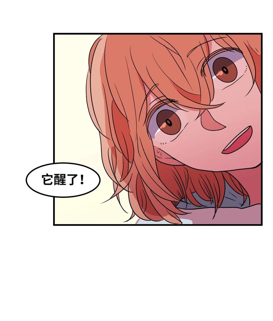 026 戴眼镜的狐狸