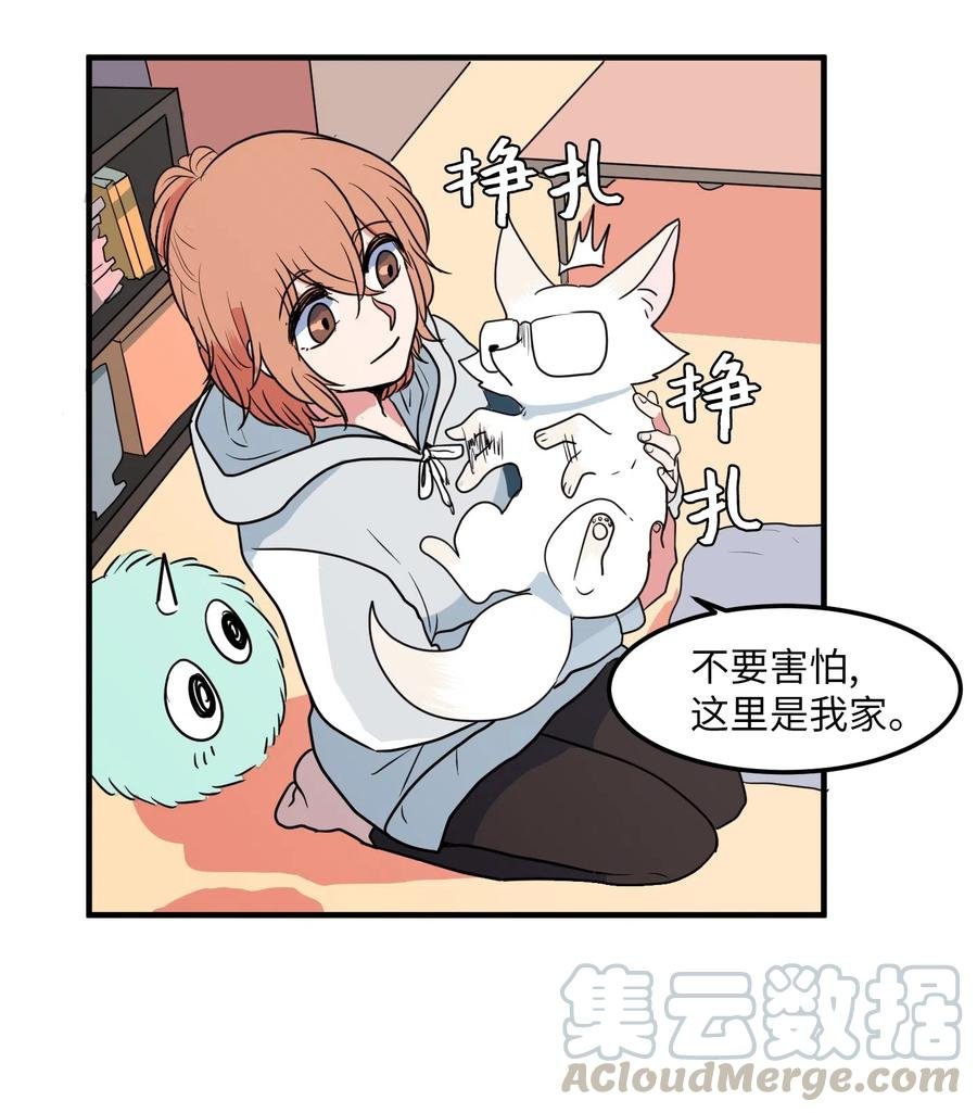 026 戴眼镜的狐狸