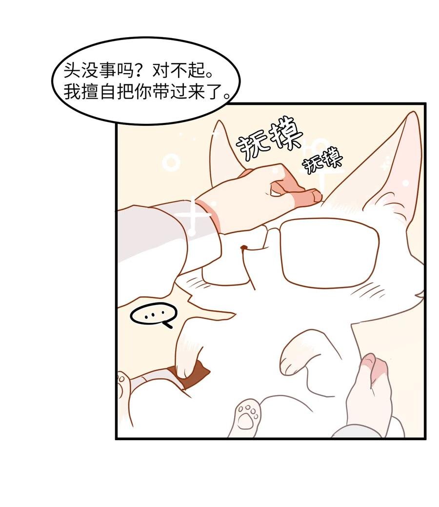 026 戴眼镜的狐狸