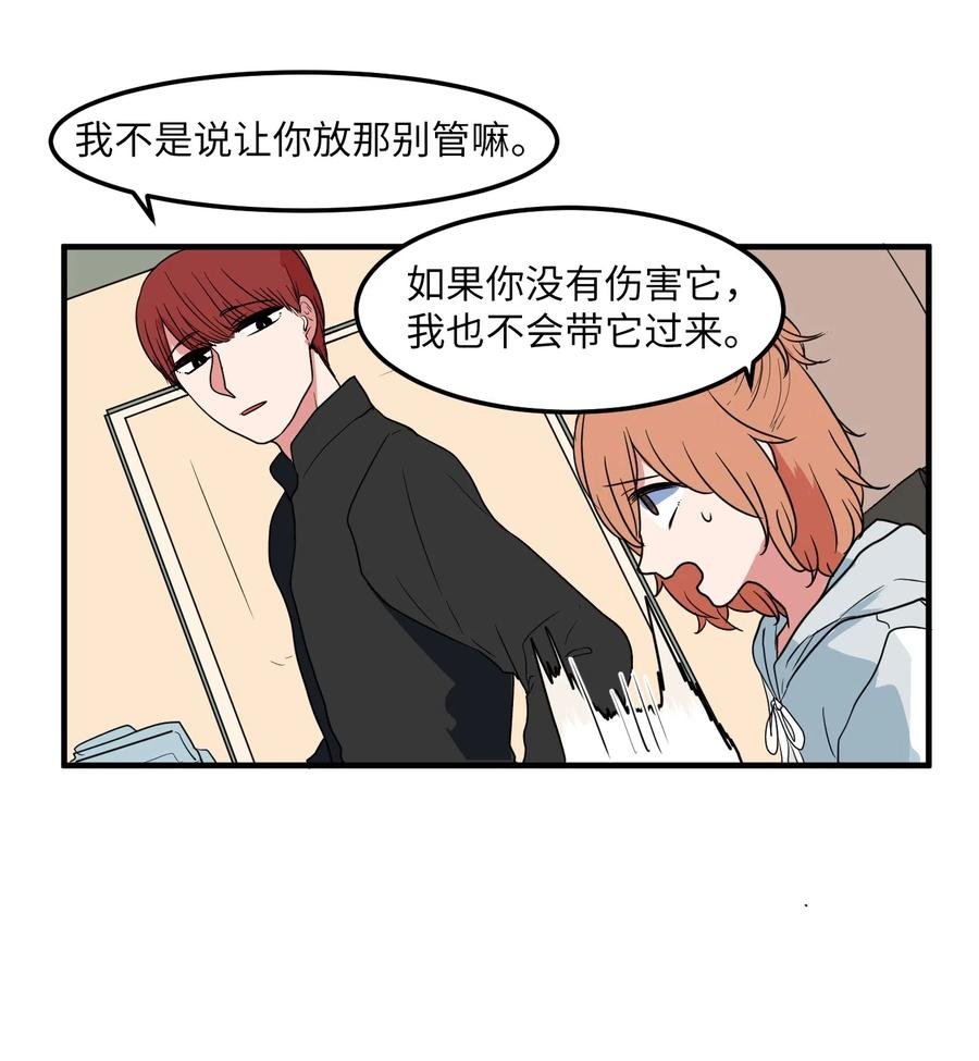 026 戴眼镜的狐狸
