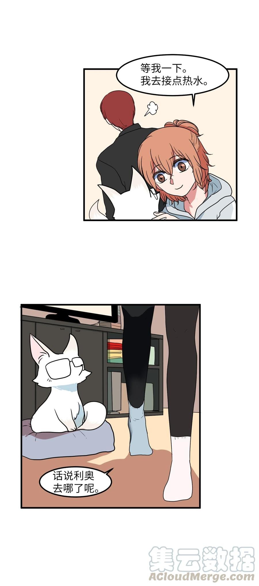026 戴眼镜的狐狸