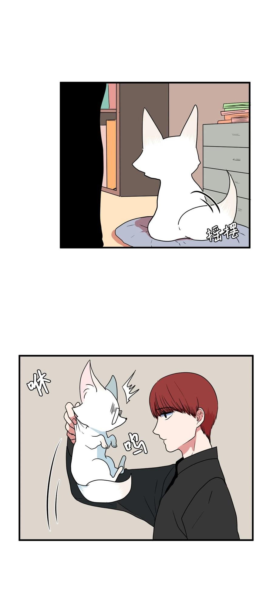 026 戴眼镜的狐狸