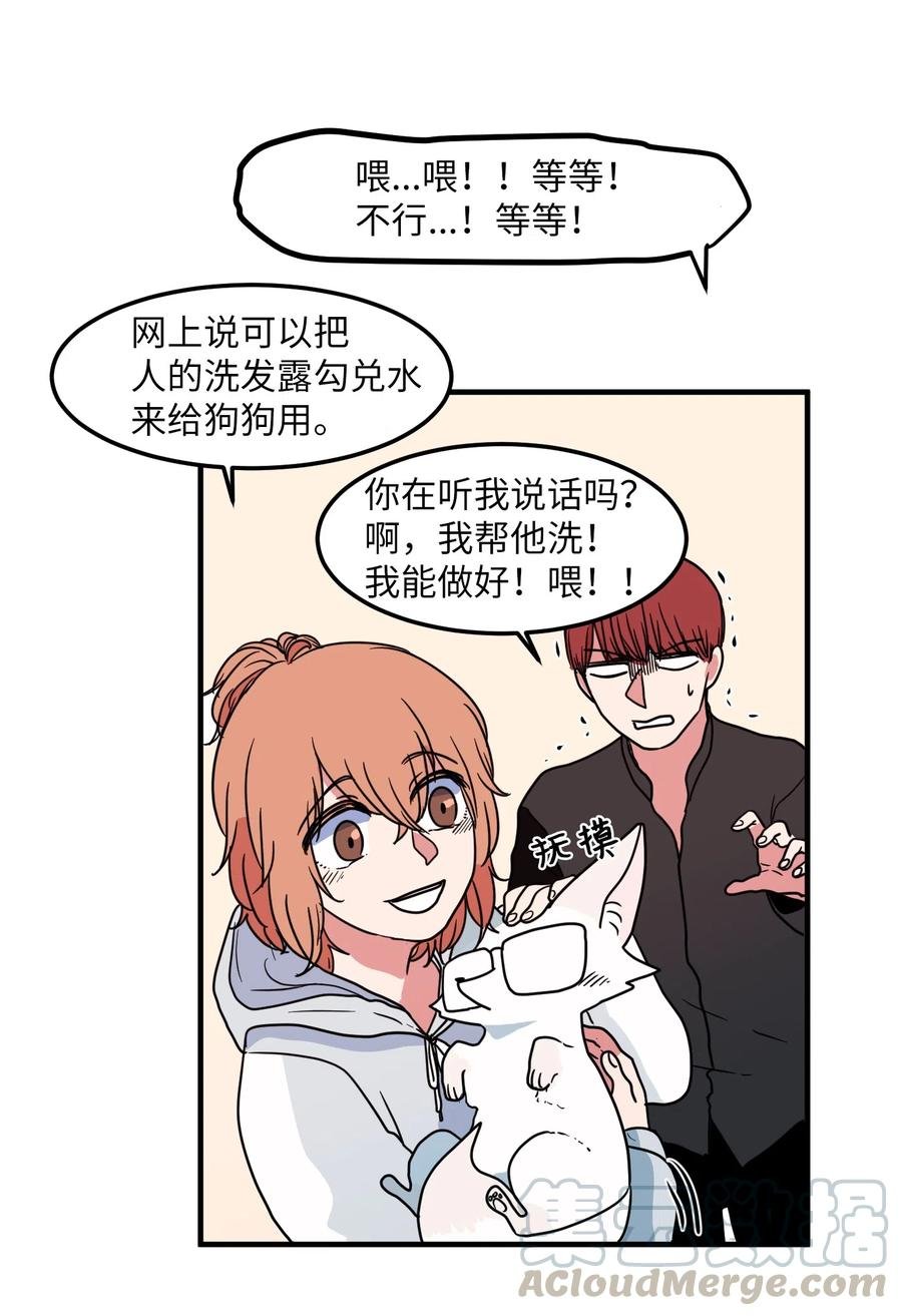 027 与狗狗洗澡