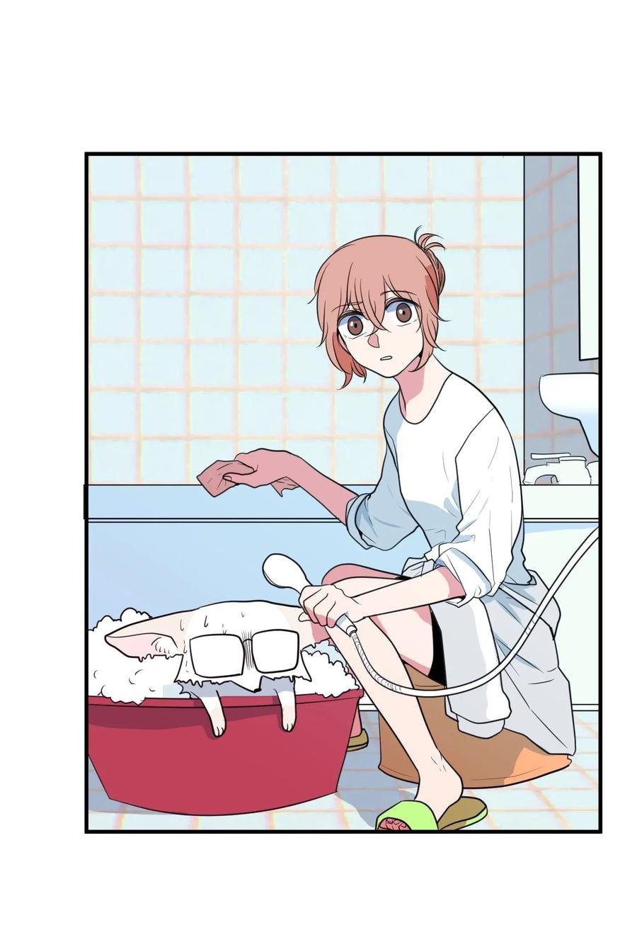 028 变不回去了