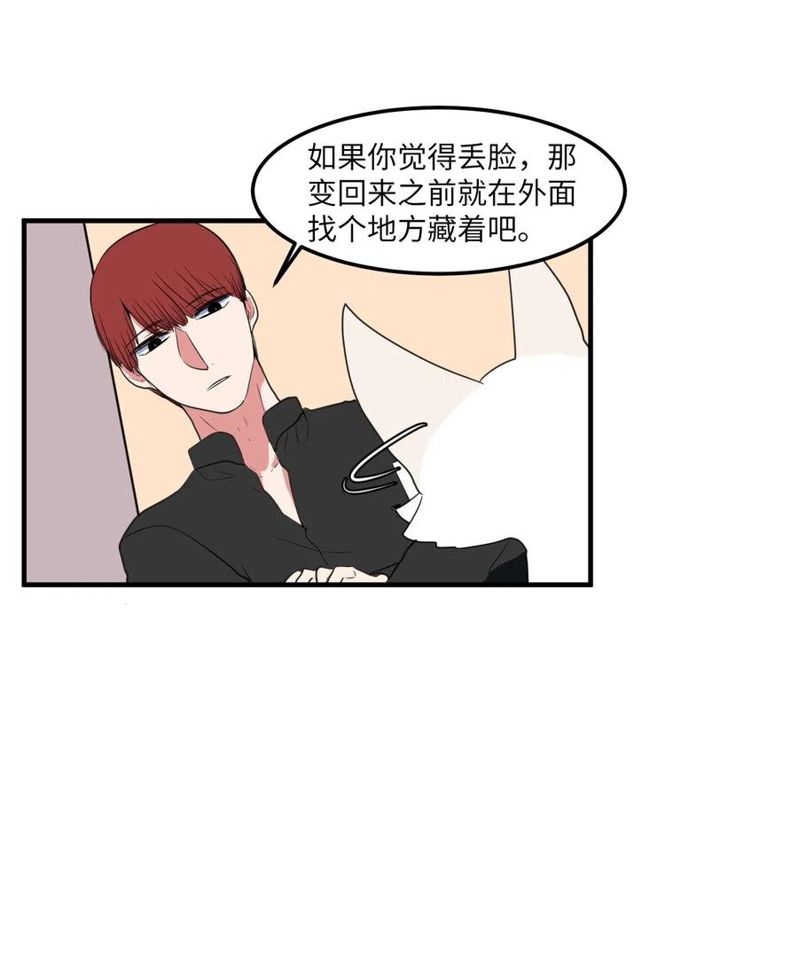 029 利奥回来了