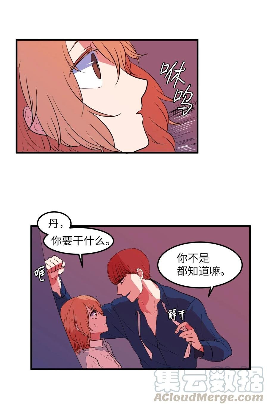 029 利奥回来了