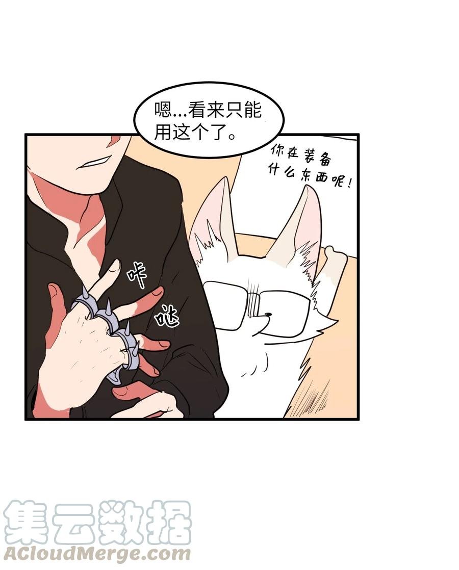 029 利奥回来了