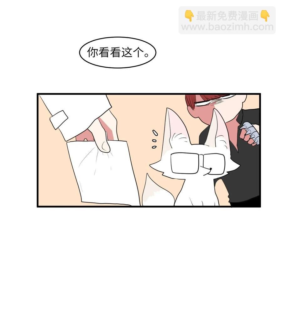 029 利奥回来了