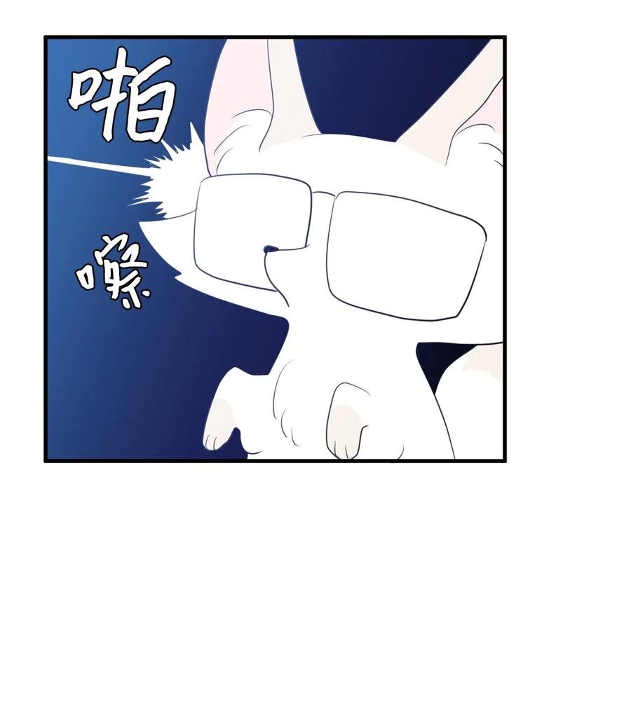 029 利奥回来了