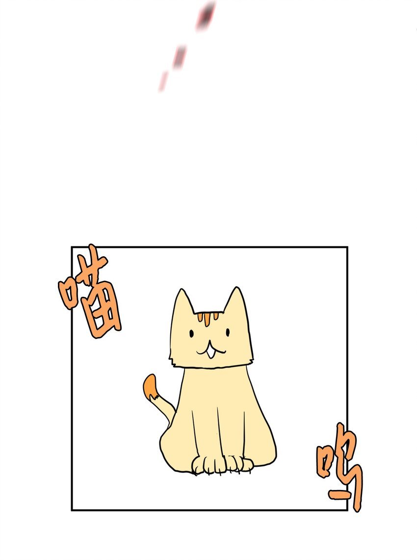 003 勇士