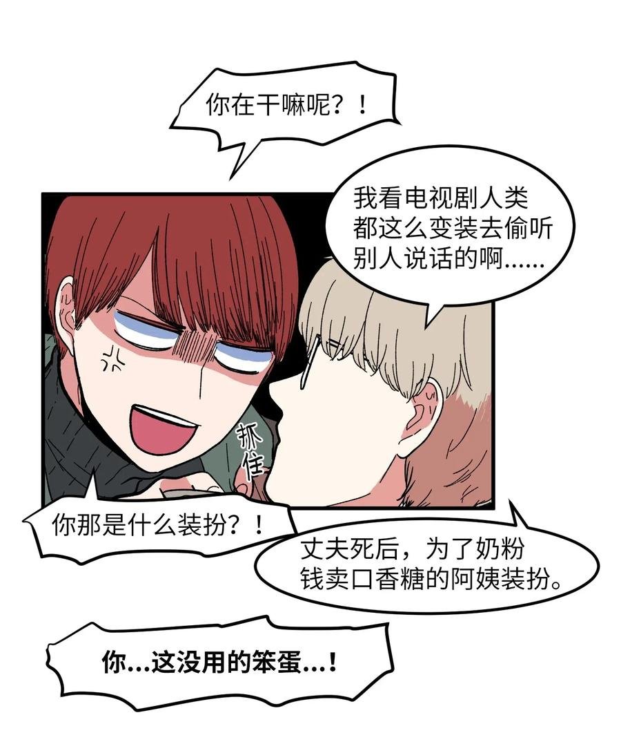 037 多菲的眼泪