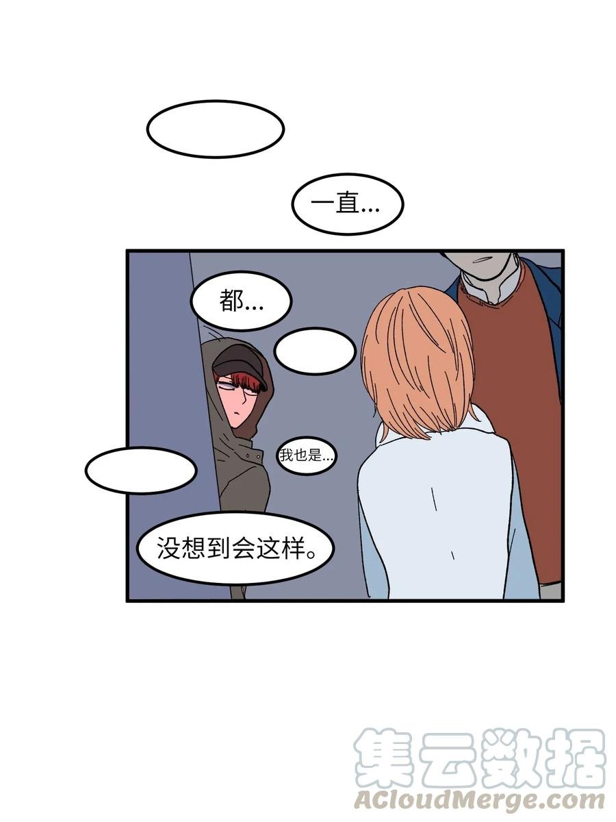 037 多菲的眼泪