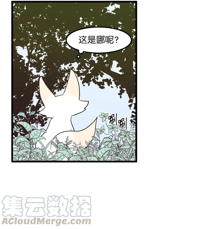 042 希望这是梦