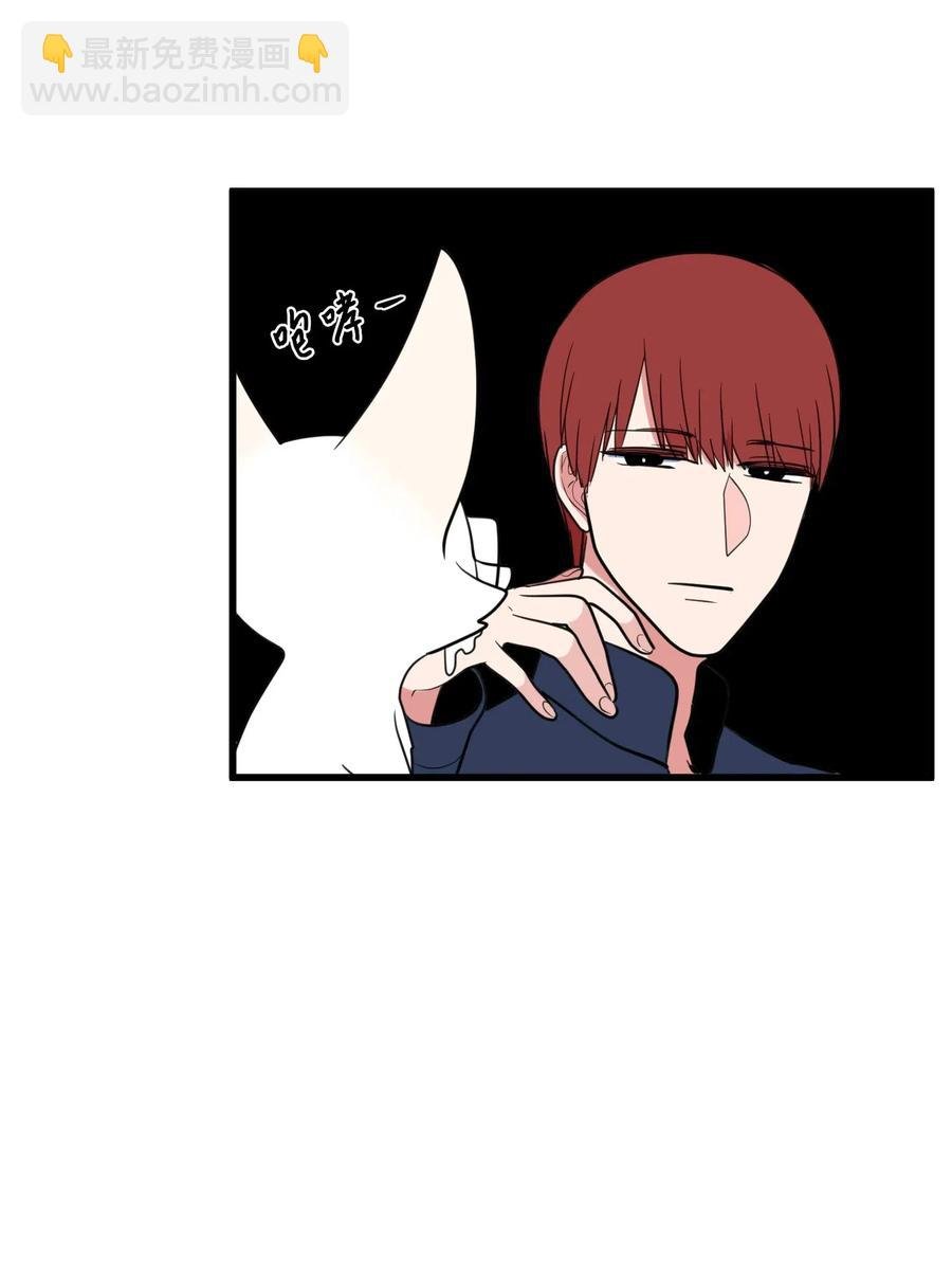 54 烟花很漂亮