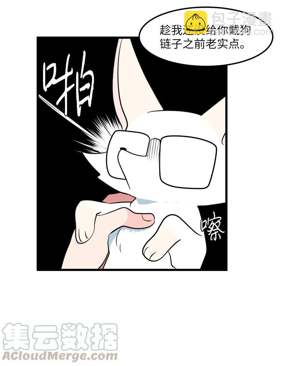 54 烟花很漂亮