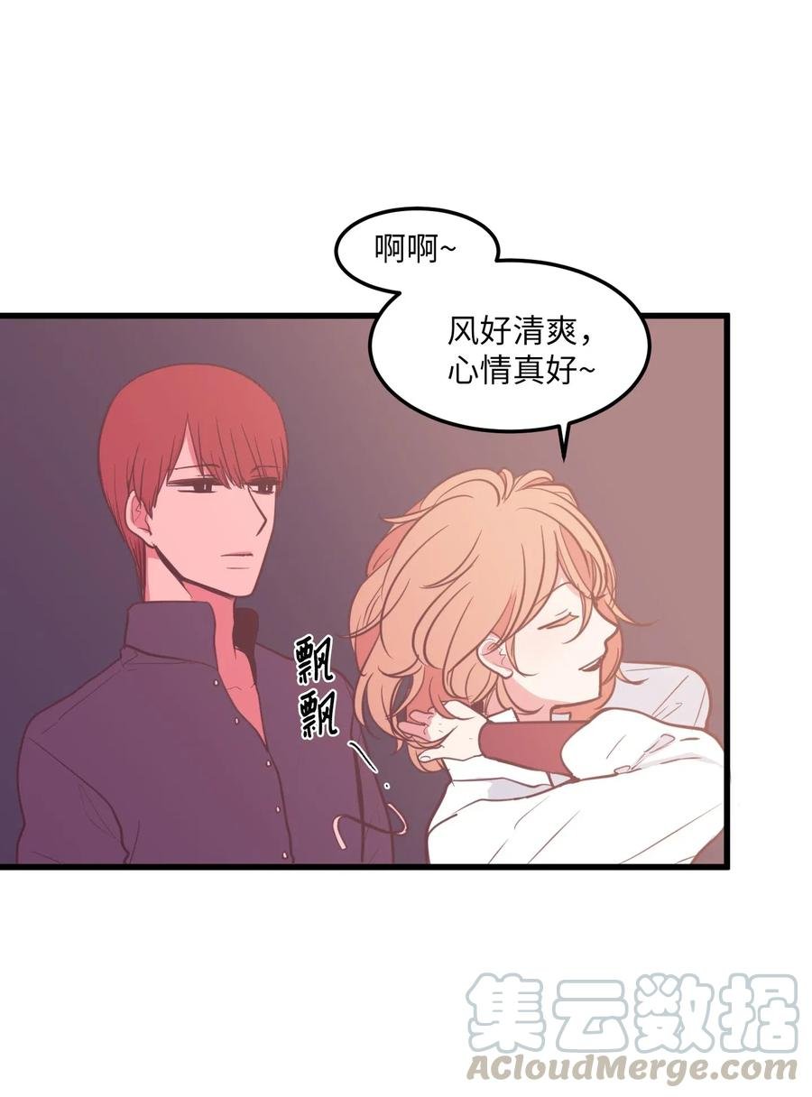 54 烟花很漂亮