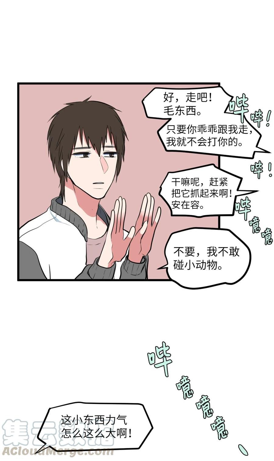 59 绑架毛团子？！